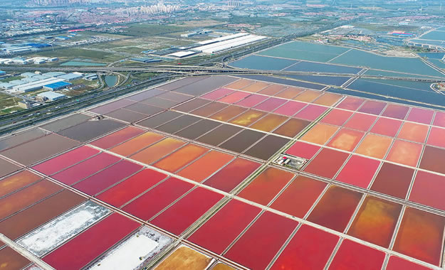 ����L(zh��ng)�J�h���}��(ch��ng)����؟(z��)�ι�˾