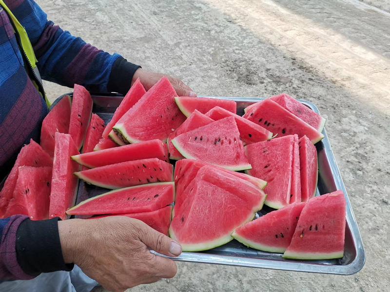 第三區(qū)域項目部開展“送清涼”活動