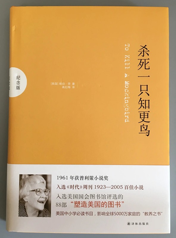 一本未曾讀的書——《殺死一只知更鳥》