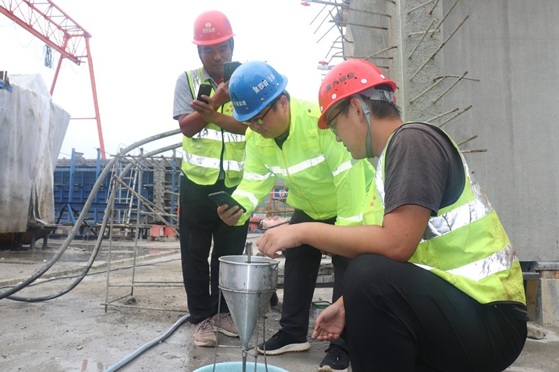 投身于臨臨項目的秋季大干中