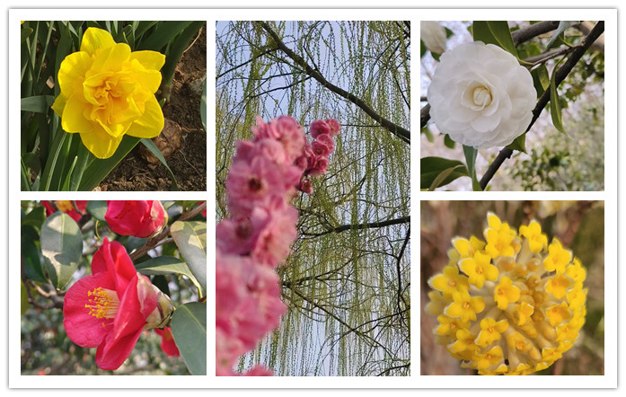 0043e6215f8c6dd2dba000bd38ed029