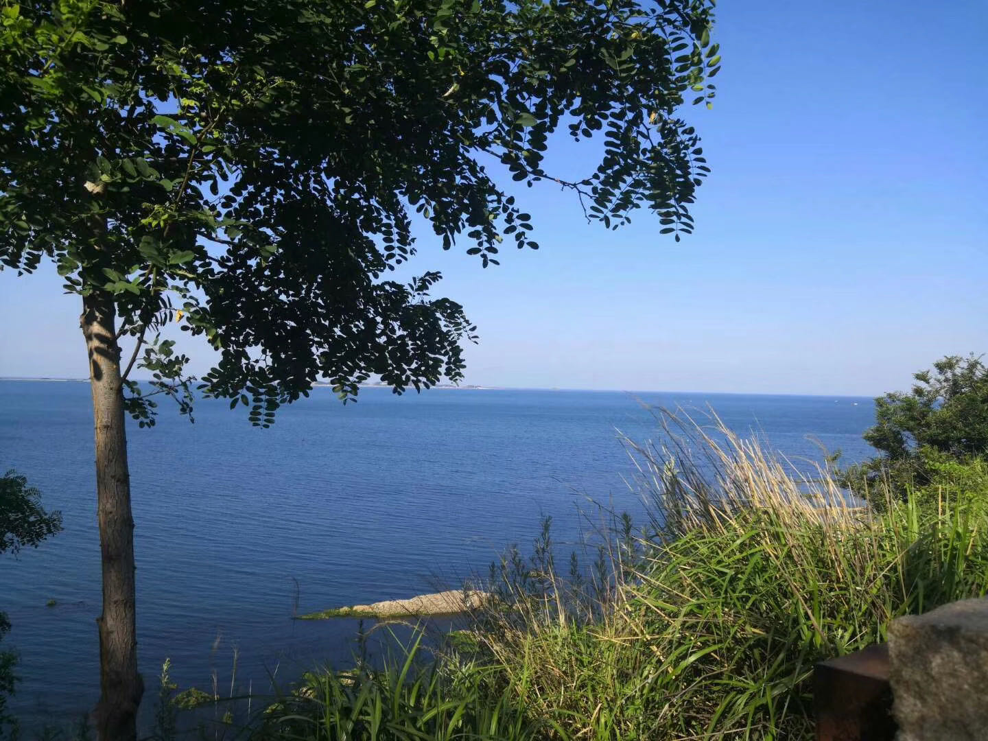 人生之路-不畏艱難，勇往直前