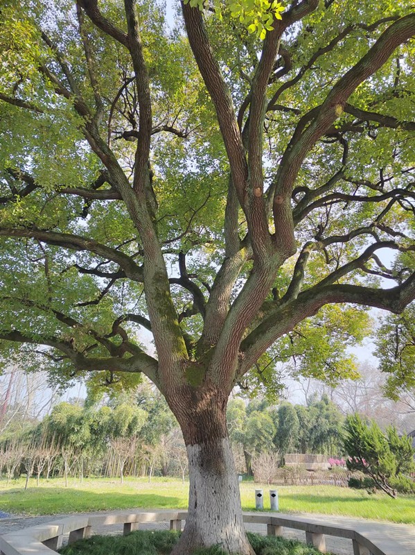 陽(yáng)光明媚的三月