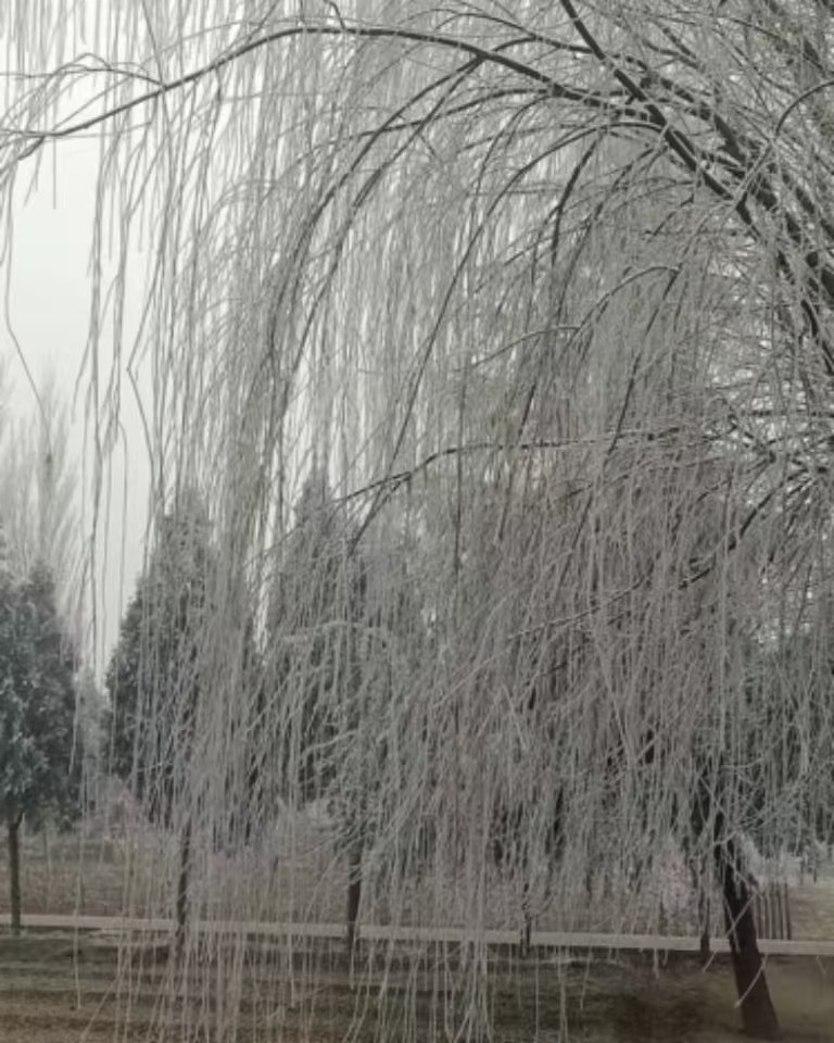 一季之寒，一世之暖