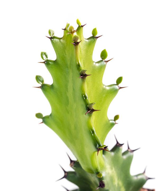 【好文推薦】真正的陽光