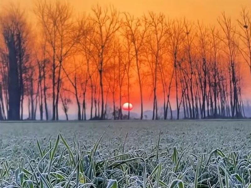 家鄉(xiāng)的冬天