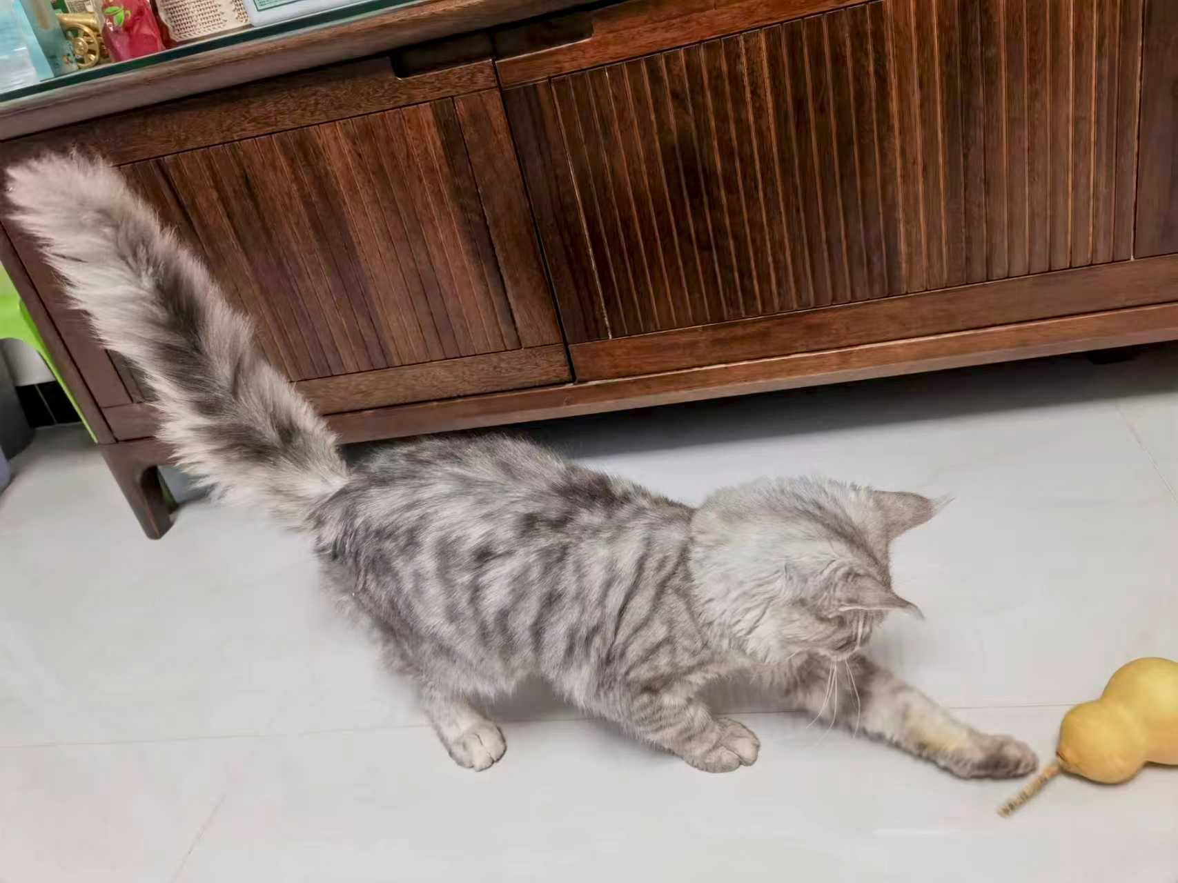 借來的時光，真實的溫暖