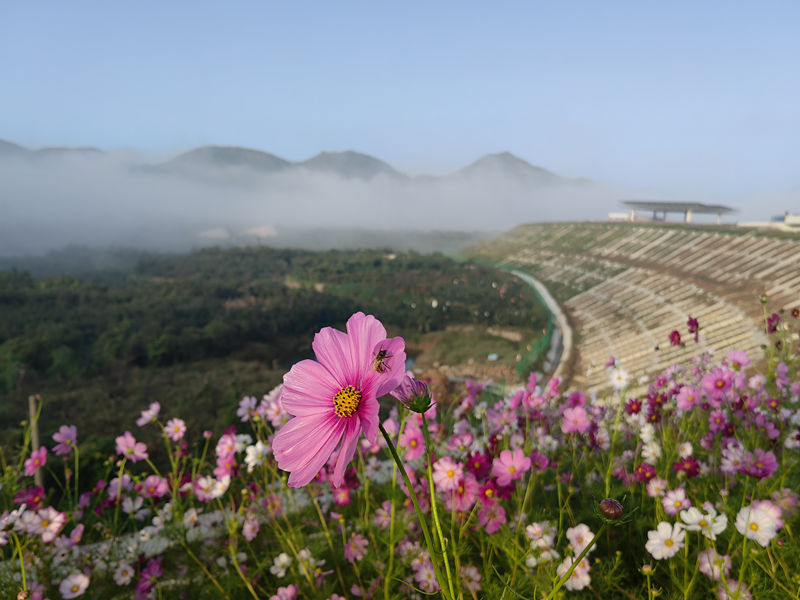 微信圖片_20240401092948_副本 微信圖片_20240401092948_副本