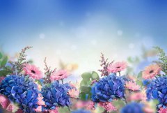 留在記憶里的芬芳