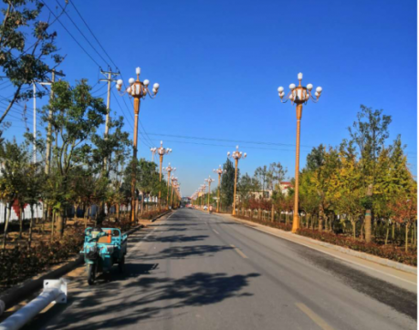 李莊項目下的金秋十月