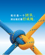從人力資源部看團(tuán)結(jié)，淺談對(duì)團(tuán)隊(duì)的理解