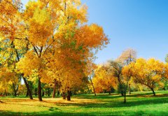 擺正心態(tài)，積極面對(duì)