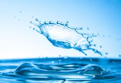 大醫(yī)無為治未病，潤(rùn)物知時(shí)細(xì)無聲 ——談?wù)勎覀兊墓局卫砼c項(xiàng)目管理