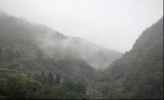 再見，江西！