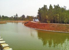 孝婦河畔，我們詩意的生活著