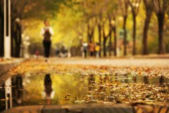 秋雨應(yīng)當(dāng)是看似平靜的