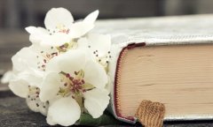 淺談學(xué)習(xí)寫(xiě)作