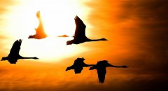 12月，你好！11月，再見(jiàn)！