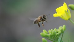 以辛勤勞動為榮，以好逸惡勞為恥