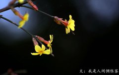 春分將至，我在等你——致徐徐爬行的你