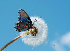 改變，從魯中公路開始