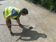 扎根魯中公路，綻放青春風采