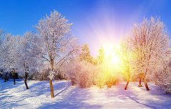 因?yàn)橛心悖@個(gè)冬天很溫暖