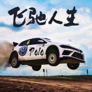 《飛馳人生》觀后感