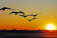 快樂(lè)工作， 微笑生活