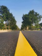 《那些年，那些來時的路》觀后有感