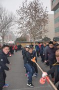 由拔河運動看團隊的力量