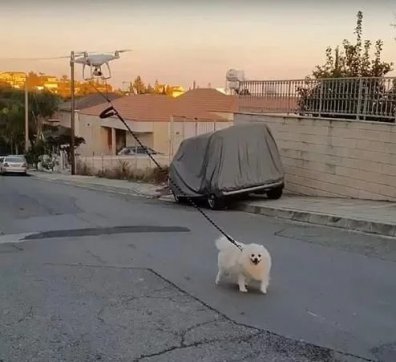 知恥而后勇，知弱而圖強(qiáng)