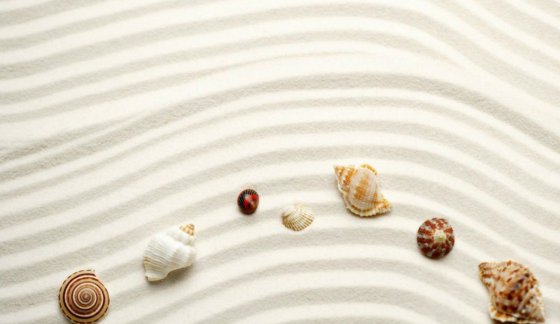 透過疫情談自律