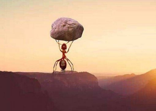 能扛事，不惹事，不怕事！