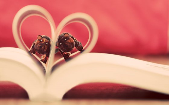 愿有一人，懂你背后所有的苦