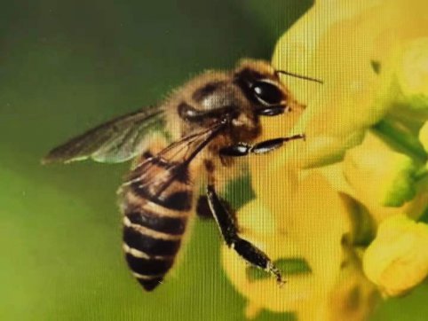 給誰(shuí)打工？——從“抓作風(fēng) 創(chuàng)效益”想到的