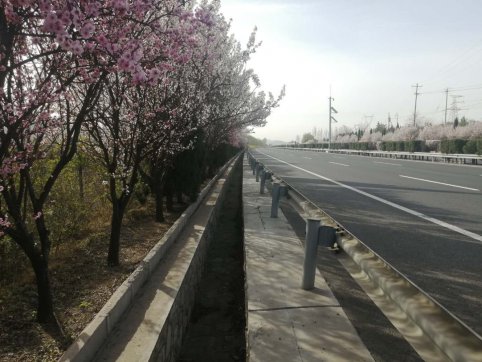 及時當(dāng)勉勵，歲月不待人